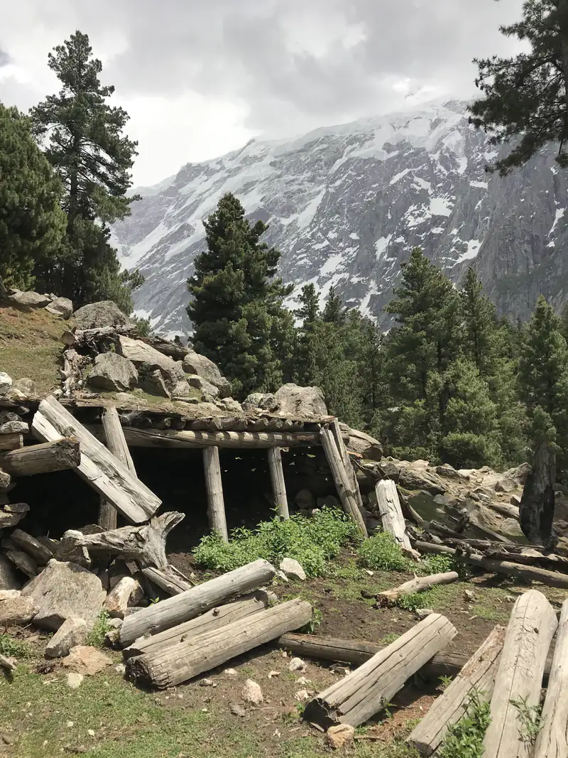 Old log cabins among pine trees at Fairy Meadows